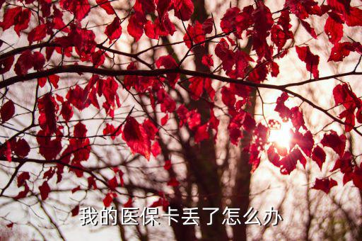 醫(yī)保卡丟了怎么辦，昆明醫(yī)保卡丟了如何補辦