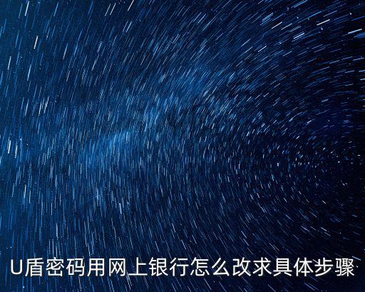 招行u盾登陸密碼怎么修改密碼，怎么修改U盾的密碼