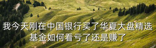 我今天剛在中國(guó)銀行買了華夏大盤精選基金如何看虧了還是賺了