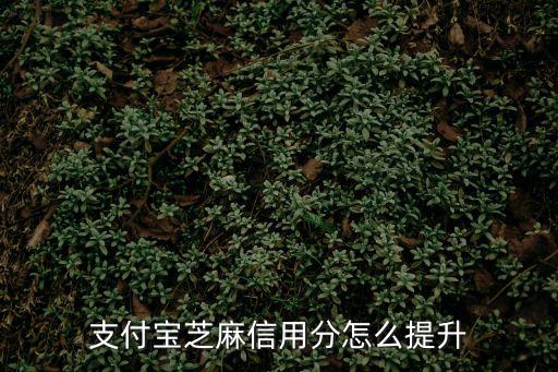 芝麻信用怎么提上去，芝麻信用分 怎么快速提升