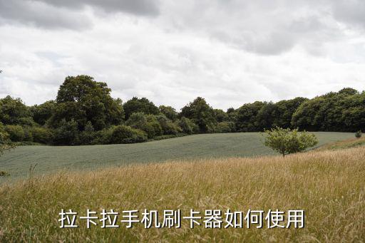 拉卡拉怎么用，拉卡拉pos機(jī)怎么用