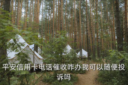 平安信用卡電話催收咋辦我可以隨便投訴嗎