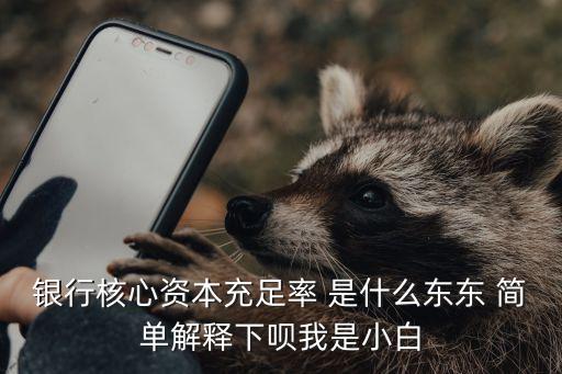 核心資本充足率英文怎么說，商業(yè)銀行的核心資本充足率和總資本充足率分別是多少