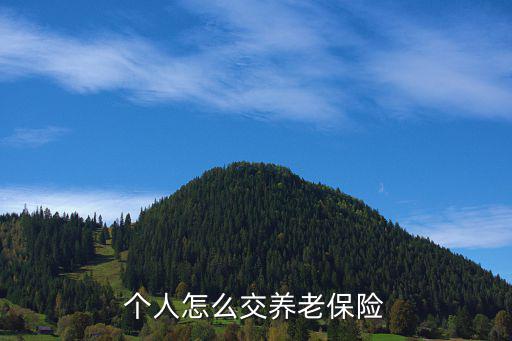 個(gè)人養(yǎng)老保險(xiǎn)怎么交，個(gè)人社保怎么交