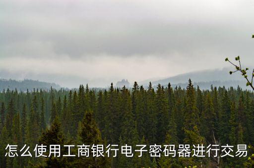 怎么使用工商銀行電子密碼器進行交易