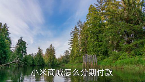 買小米手機(jī)怎么分期付款嗎，小米商城怎么分期付款