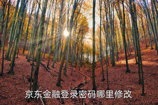 京東金融登錄密碼哪里修改