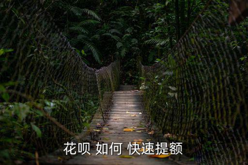 花唄 如何 快速提額