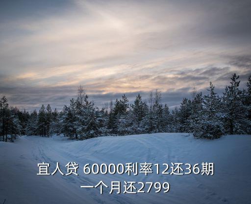 宜人貸 60000利率12還36期一個(gè)月還2799
