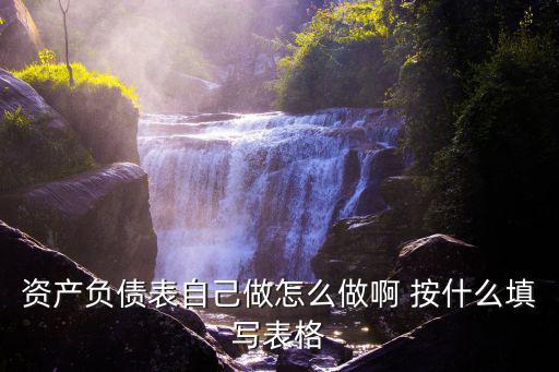 資產(chǎn)負債表自己做怎么做啊 按什么填寫表格
