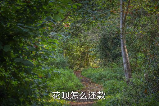花唄怎么還款