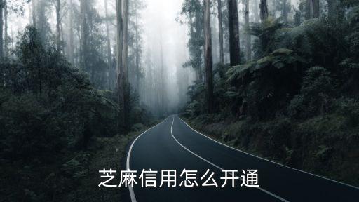 芝麻信用怎么開通的，芝麻信用怎么開通啊