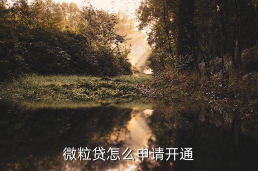 微粒貸怎么進去，怎么能進入微粒貸