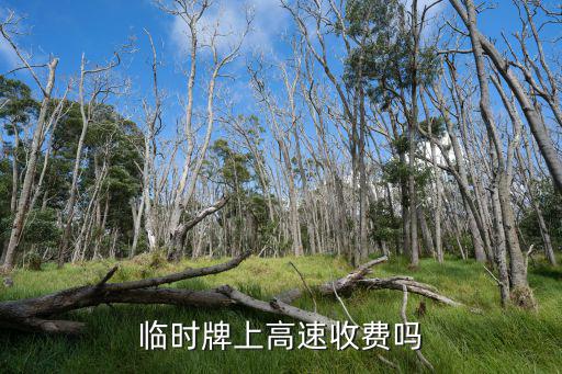 臨時牌上高速收費嗎