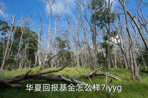 華夏回報基金怎么樣7iyyg