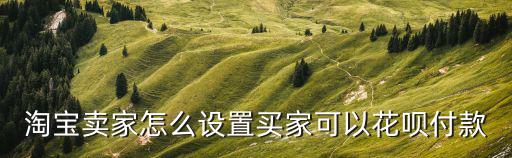 淘寶賣家怎么設(shè)置買家可以花唄付款