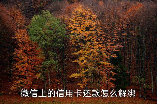 微信上信用卡怎么解綁，中信銀行信用卡怎么在微信上解除綁定