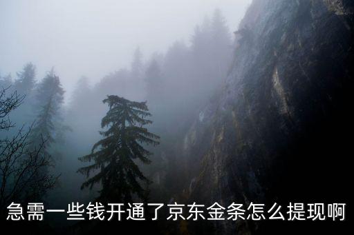 急需一些錢開通了京東金條怎么提現(xiàn)啊