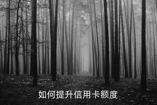 如何提升信用卡額度