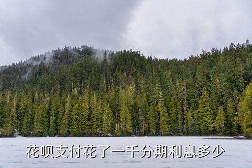 花唄支付花了一千分期利息多少
