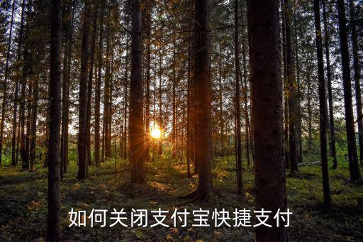 如何關(guān)閉支付寶快捷支付