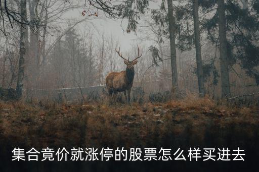 連續(xù)漲停板的股票怎么買，集合竟價(jià)就漲停的股票怎么樣買進(jìn)去