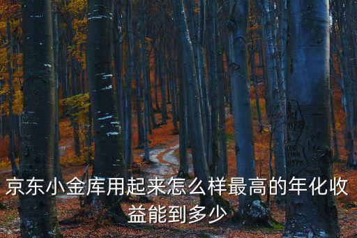 京東小金庫用起來怎么樣最高的年化收益能到多少