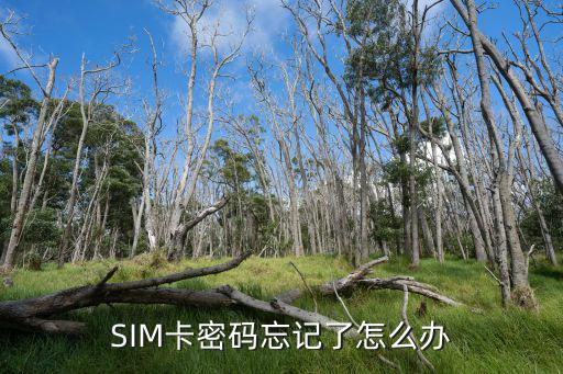 手機(jī)卡密碼忘了怎么辦，SIM卡密碼忘記了怎么辦