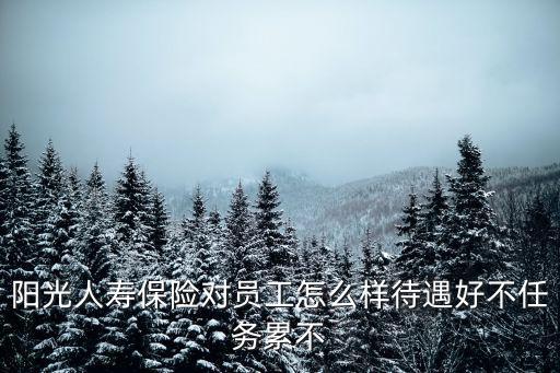 陽光人壽保險對員工怎么樣待遇好不任務(wù)累不