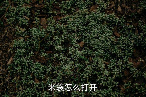 米袋怎么打開