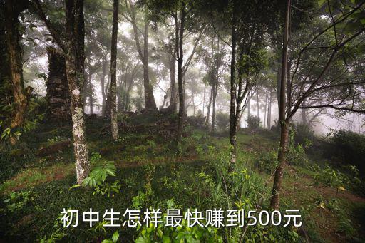 一個(gè)月怎么賺500，如何每天能掙5001000
