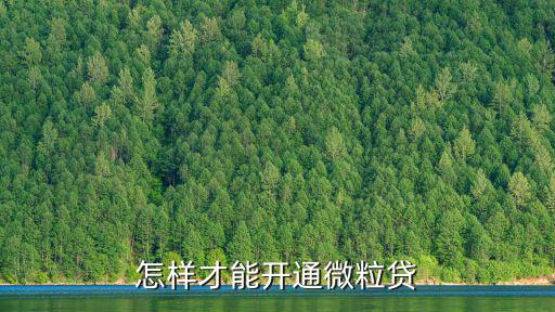 怎樣才能開通微粒貸