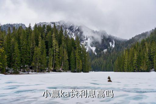 小贏快貸怎么樣，小贏易貸信用卡好用嗎支持那些信用卡的呢