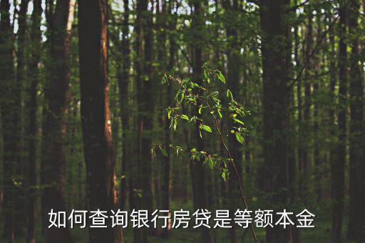 如何查詢銀行房貸是等額本金