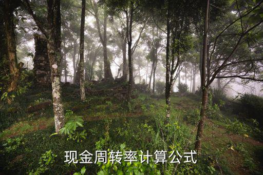 現(xiàn)金周轉(zhuǎn)率計算公式