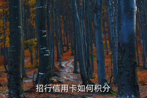 招行信用卡如何積分