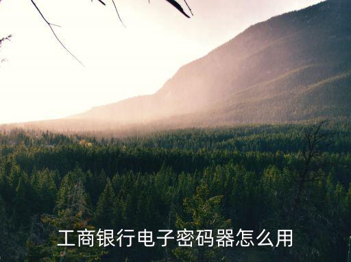 工商銀行電子密碼器怎么用
