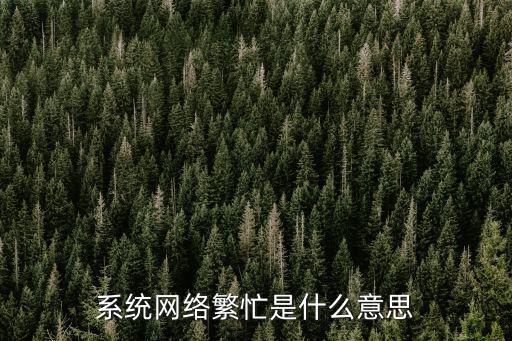 廣發(fā)網(wǎng)絡(luò)系統(tǒng)繁忙怎么回事，系統(tǒng)繁忙是什么意思