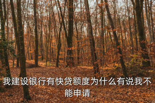 我建設銀行有快貸額度為什么有說我不能申請