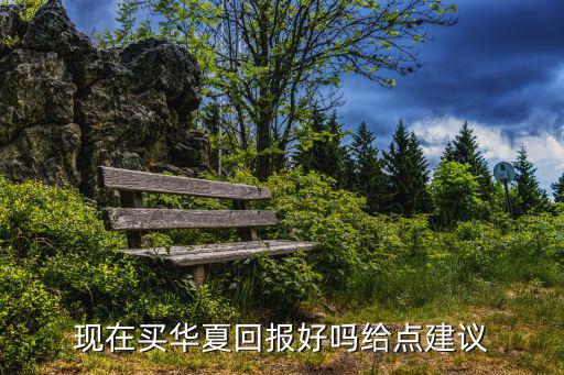 現(xiàn)在買華夏回報(bào)好嗎給點(diǎn)建議