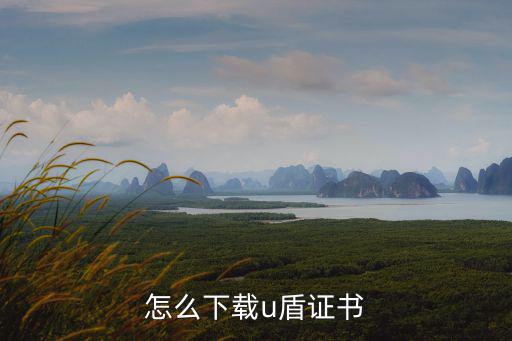 u盾證書怎么下載，怎么下載u盾證書