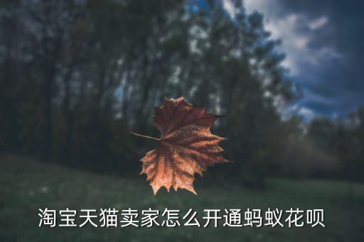 淘寶螞蟻花唄怎么申請，淘寶買家怎么開通螞蟻花唄支付方式
