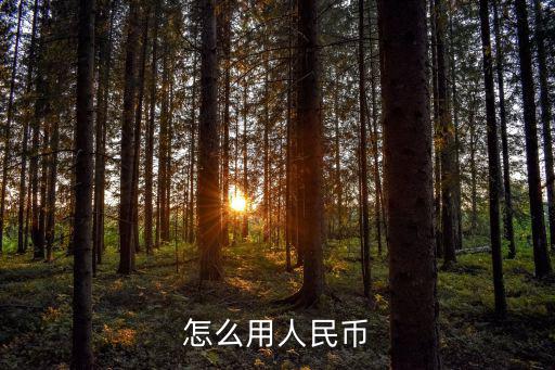 怎么用人民幣