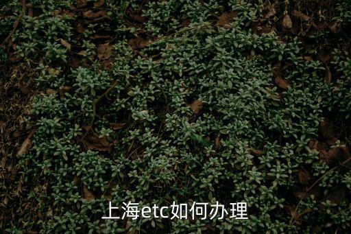 上海etc如何辦理