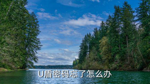 U盾密碼忘了怎么辦