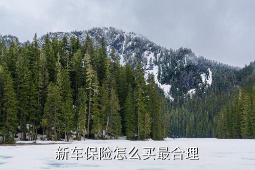 新車(chē)保險(xiǎn)怎么買(mǎi)最合理