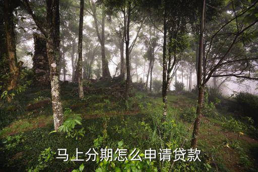 馬上貸大使怎么注冊(cè)，馬上貸有知道怎么申請(qǐng)的嗎