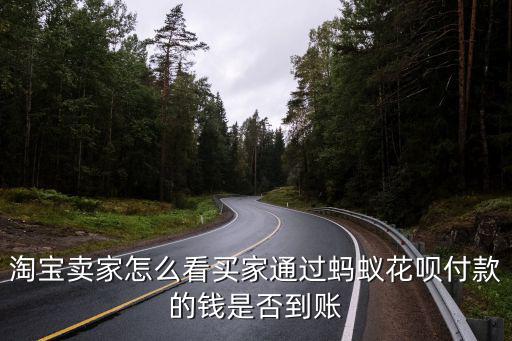 淘寶賣家怎么看買家通過螞蟻花唄付款的錢是否到賬