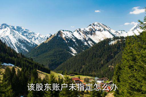該股東賬戶未指定怎么辦