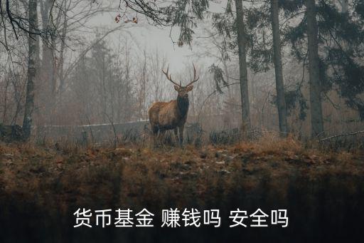 貨幣基金 賺錢嗎 安全嗎